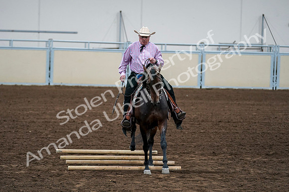 2020 - AB Morgan Horse - Fri, Sept 04 - 00584
