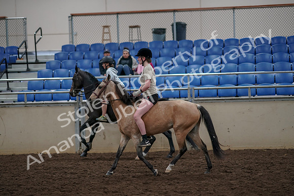 2019 Morgan Horse Show - Aug 30, 2019 - 31239