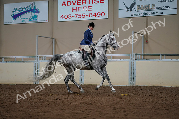 2019 Morgan Horse Show - Aug 30, 2019 - 22520