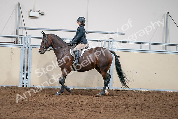 2020 - AB Morgan Horse - Sat, Sept 05 - 04974