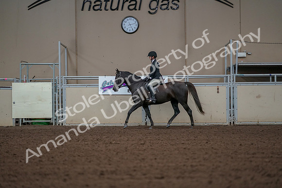 2019 Morgan Horse Show - Aug 30, 2019 - 14943