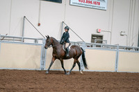 2020 - AB Morgan Horse - Sat, Sept 05 - 04960