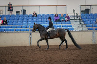 2019 Morgan Horse Show - Aug 30, 2019 - 27196