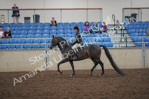 2019 Morgan Horse Show - Aug 30, 2019 - 27196