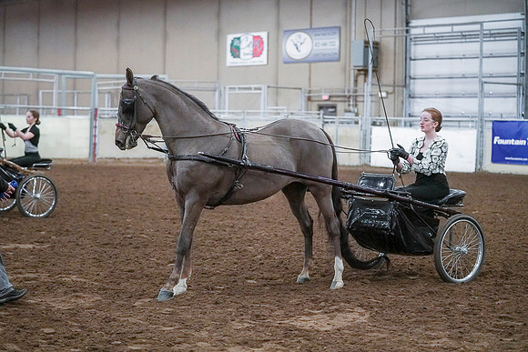 Spring Fling - Saturday - April 20, 2019  -  00304