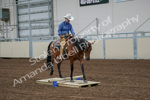 2020 - AB Morgan Horse - Fri, Sept 04 - 00237