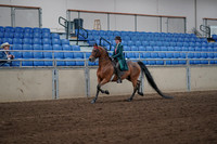 2019 Morgan Horse Show - Sept 01, 2019 - 13153