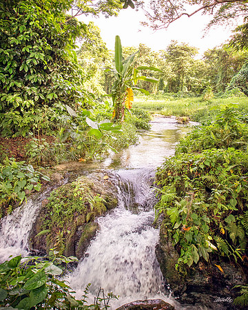 Jamaica - 124