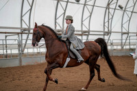 Class 060 - Walk - Trot English Pleasure - 11 & Under