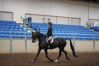 2019 Morgan Horse Show - Aug 30, 2019 - 12127