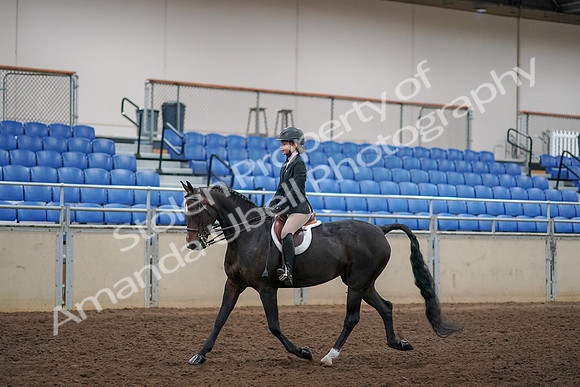 2019 Morgan Horse Show - Aug 30, 2019 - 12127
