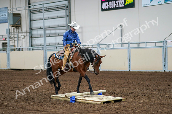 2020 - AB Morgan Horse - Fri, Sept 04 - 00234
