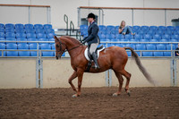2019 Morgan Horse Show - Aug 30, 2019 - 16008