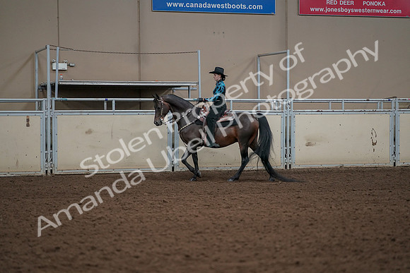 2019 Morgan Horse Show - Aug 30, 2019 - 26121