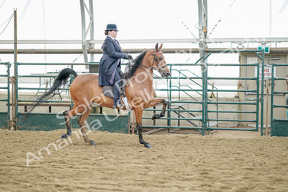 July 21, 2019 - 12226