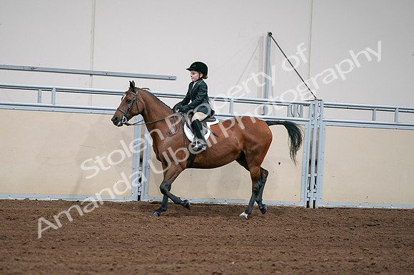 2020 - AB Morgan Horse - Fri, Sept 04 - 02058