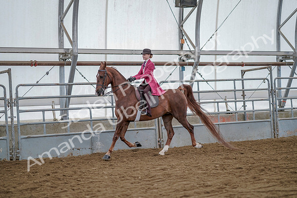 July 20, 2019 - 14482