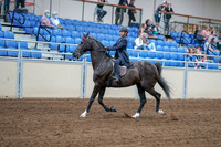 2020 - AB Morgan Horse - Fri, Sept 04 - 06981