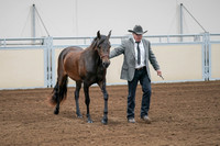 2020 - AB Morgan Horse - Sat, Sept 05 - 00142