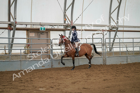 July 20, 2019 - 03485