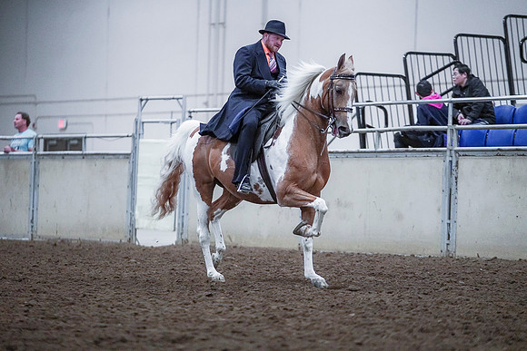 Spring Fling - Saturday - April 20, 2019  -  00811