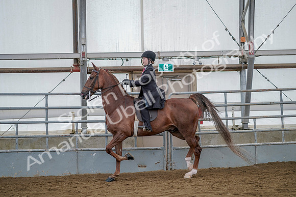 July 20, 2019 - 14626