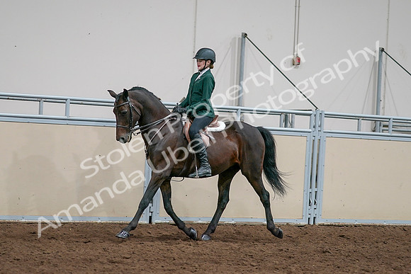 2020 - AB Morgan Horse - Sat, Sept 05 - 05041