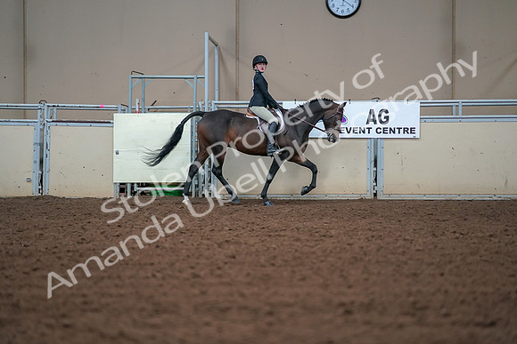 2019 Morgan Horse Show - Aug 30, 2019 - 20684
