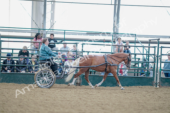 July 21, 2019 - 09079