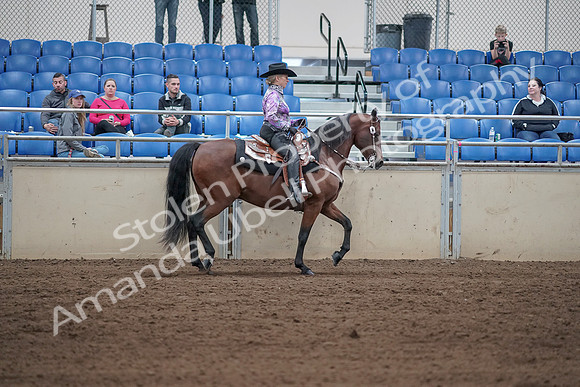 2019 Morgan Horse Show - Sept 01, 2019 - 07075