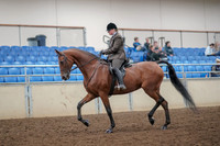 2019 Morgan Horse Show - Aug 30, 2019 - 29210