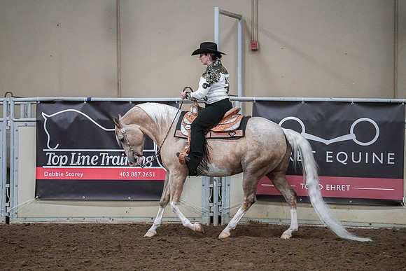 Spring Fling - Saturday - April 20, 2019  -  03998