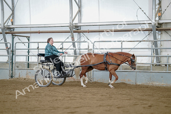July 21, 2019 - 05995