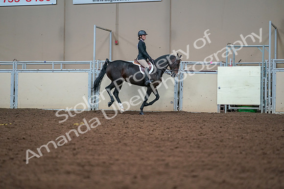 2019 Morgan Horse Show - Aug 30, 2019 - 21089