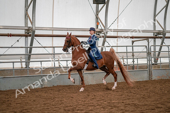 July 19, 2019 - 10353