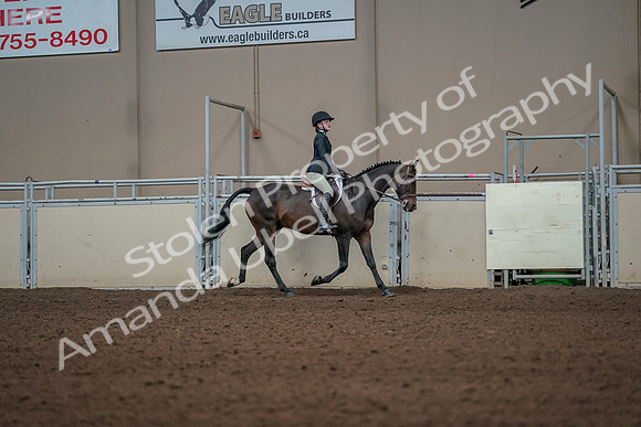 2019 Morgan Horse Show - Aug 31, 2019 - 05151