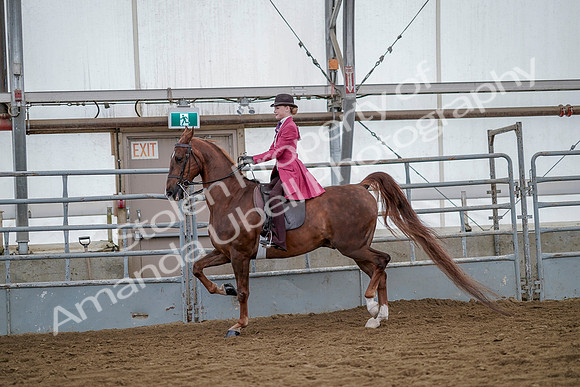July 20, 2019 - 14507