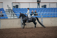 2019 Morgan Horse Show - Aug 31, 2019 - 09230