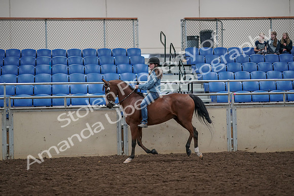 2019 Morgan Horse Show - Aug 30, 2019 - 31323