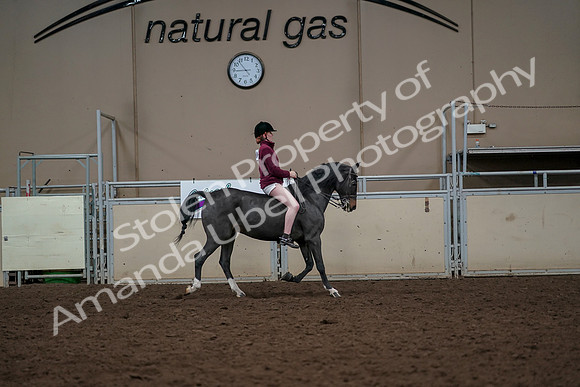 2019 Morgan Horse Show - Aug 30, 2019 - 31440