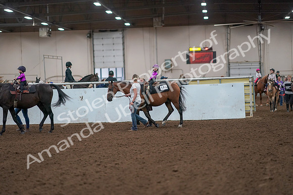 2019 Morgan Horse Show - Aug 31, 2019 - 18901