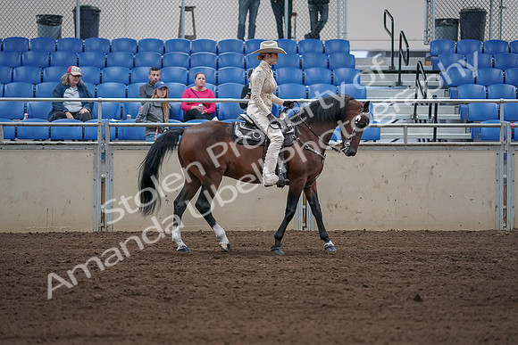 2019 Morgan Horse Show - Sept 01, 2019 - 07186