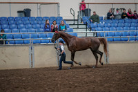 2019 Morgan Horse Show - Aug 31, 2019 - 02587