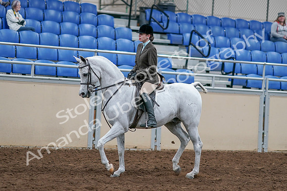 2020 - AB Morgan Horse - Sat, Sept 05 - 14241