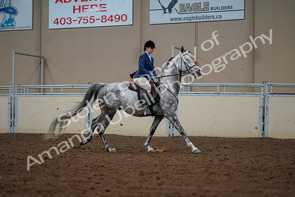 2019 Morgan Horse Show - Aug 30, 2019 - 22524