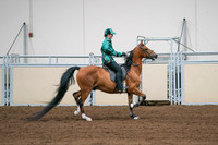 2020 - AB Morgan Horse - Fri, Sept 04 - 08694