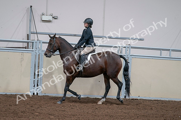 2020 - AB Morgan Horse - Fri, Sept 04 - 05958