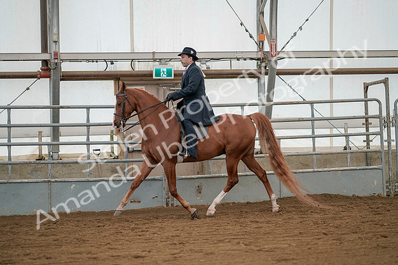 July 20, 2019 - 02095