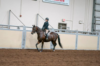 2020 - AB Morgan Horse - Sat, Sept 05 - 04957