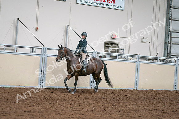 2020 - AB Morgan Horse - Sat, Sept 05 - 04957